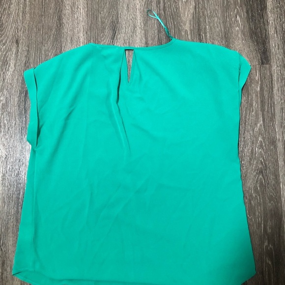 Pink Rose Green Cap Sleeve Blouse - Size L - Picture 5 of 5